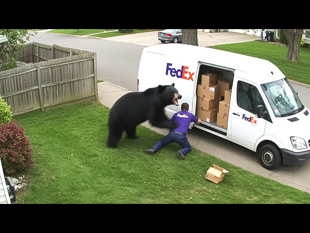 Delivery Drivers vs Animals | When Things Go Wrong