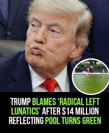 Trump reacts after a $14 million reflecting pool reportedly turned green, blaming “radical left” critics