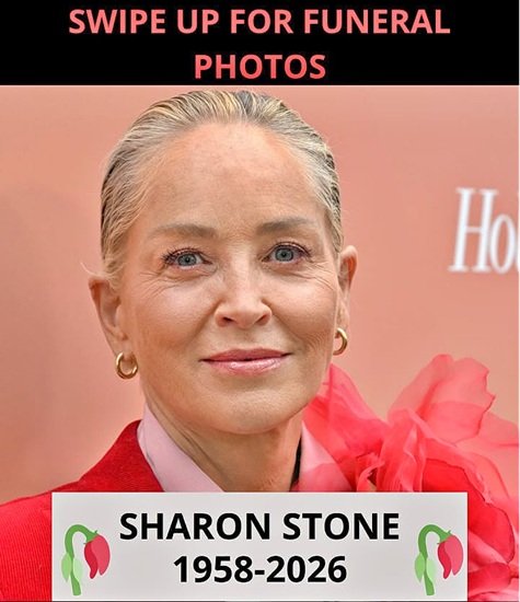 Sharon Stone Opens Up About a Difficult Family Loss That Has Touched Many Fans
