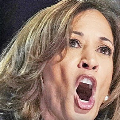 Kamala Harris’ Memoir Reveals Why Her Campaign Failed