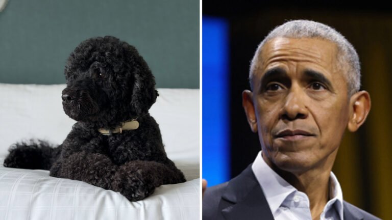 Barack Obama releases heartbreaking statement after the death of family dog